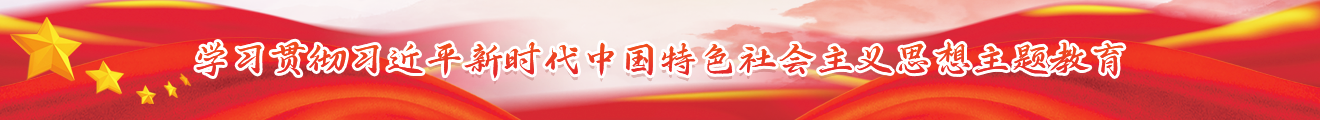 學習貫徹習近平新時代中國特色社會主義思想主題教育